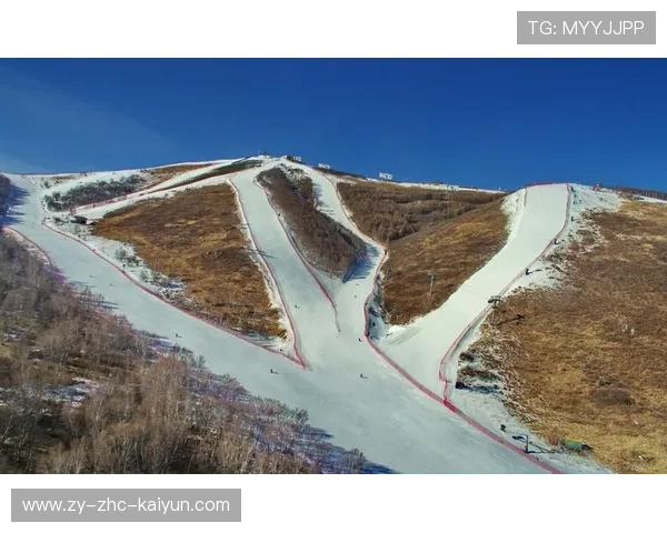 世界高山滑雪赛道生态修复第161期进展通报，高山滑雪世界排名