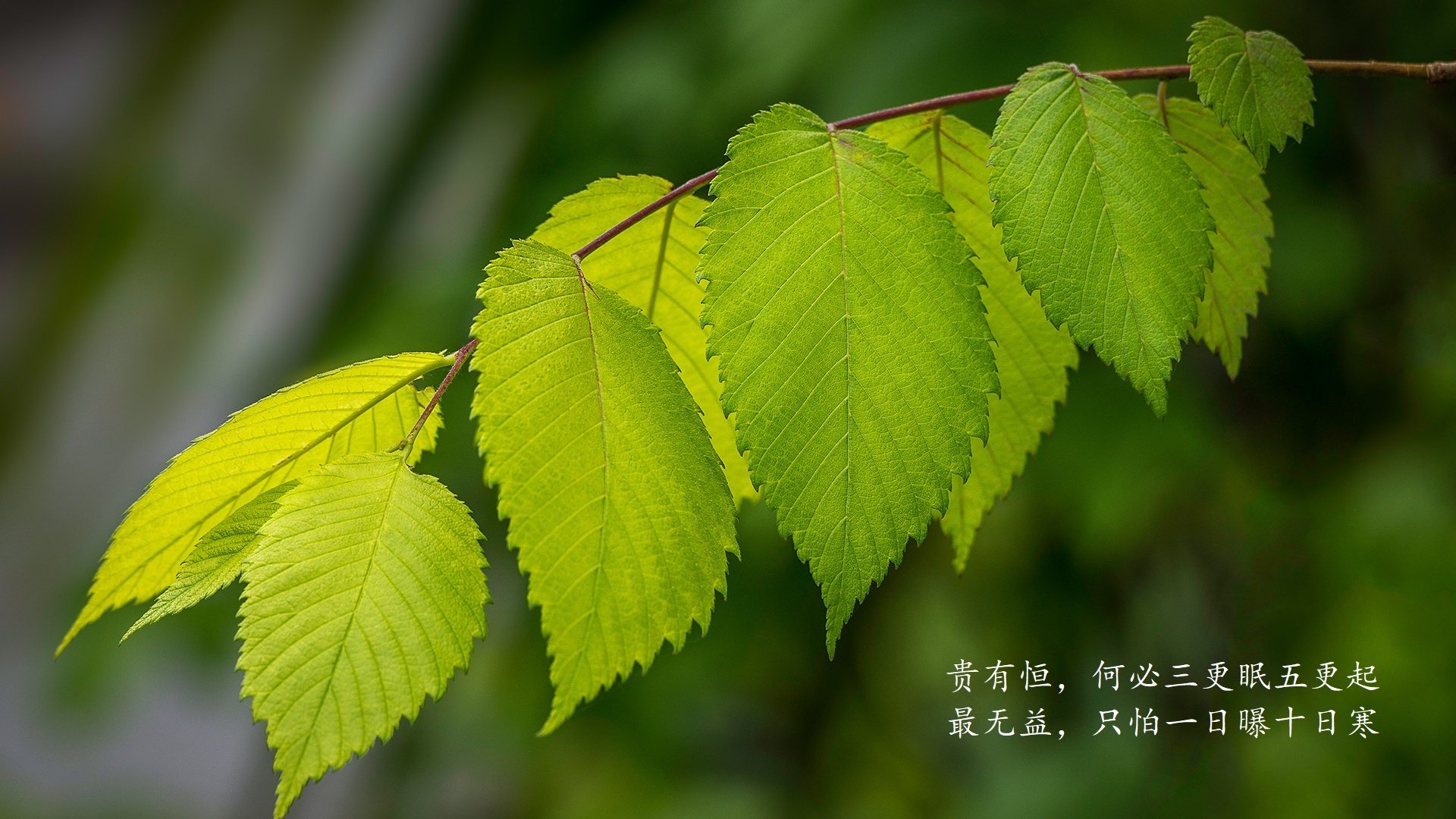 中国足球攻防转换节点图谱分析,中国足球攻防转换节点图谱分析