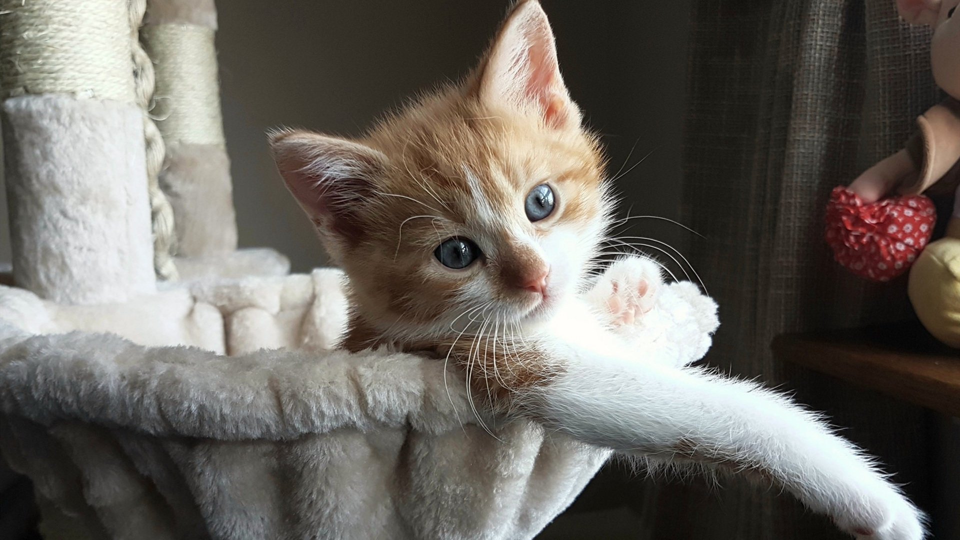 开云在线登入-亚洲杯中国女足迎战 球迷情绪热烈，中国女足亚洲杯季军