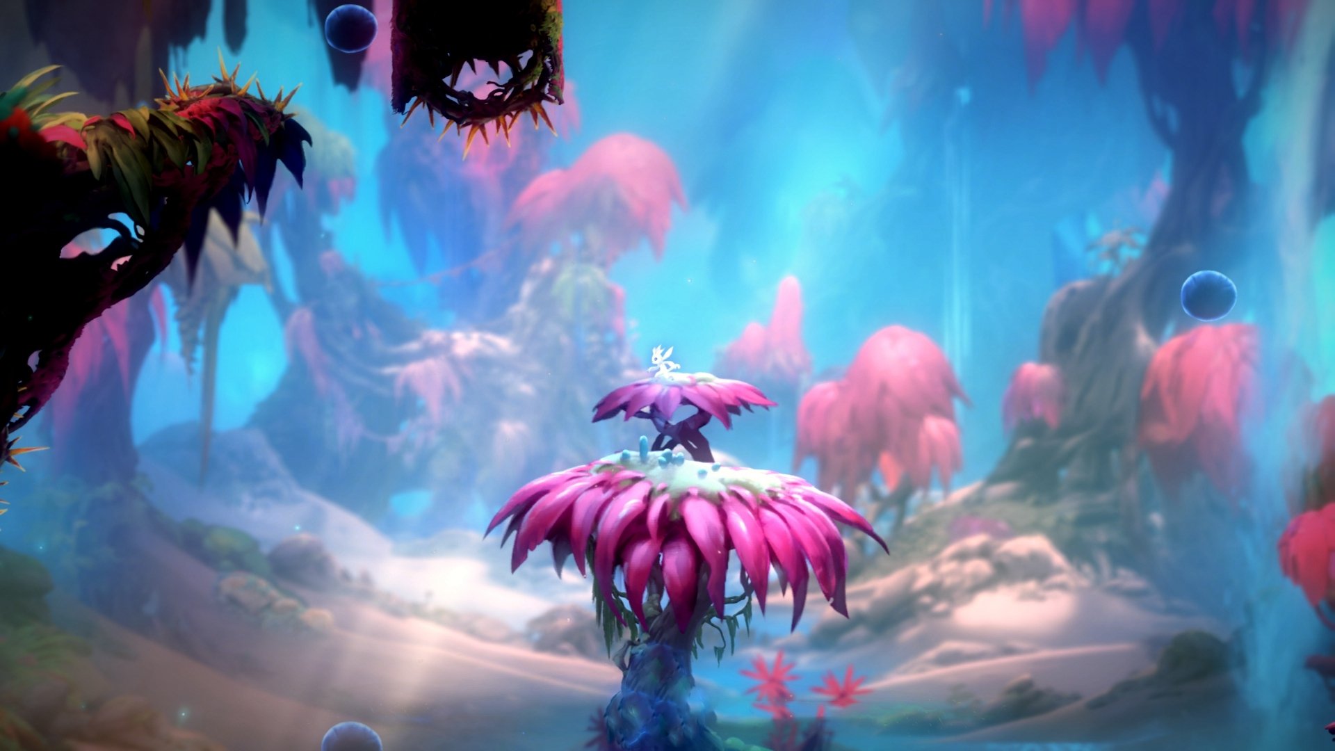 佛罗伦萨强调阵型压缩提升控球质量，佛罗伦萨首发理念