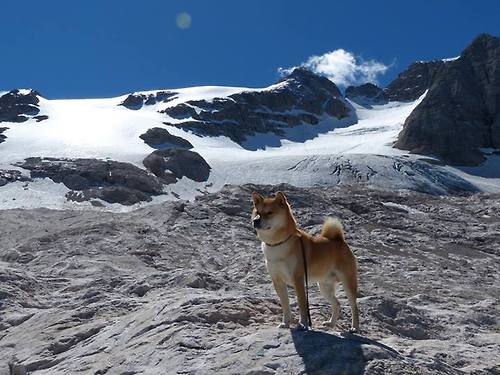 开云体育app注册-尤文赢得约3200万欧参赛奖金，尤文联赛冠军