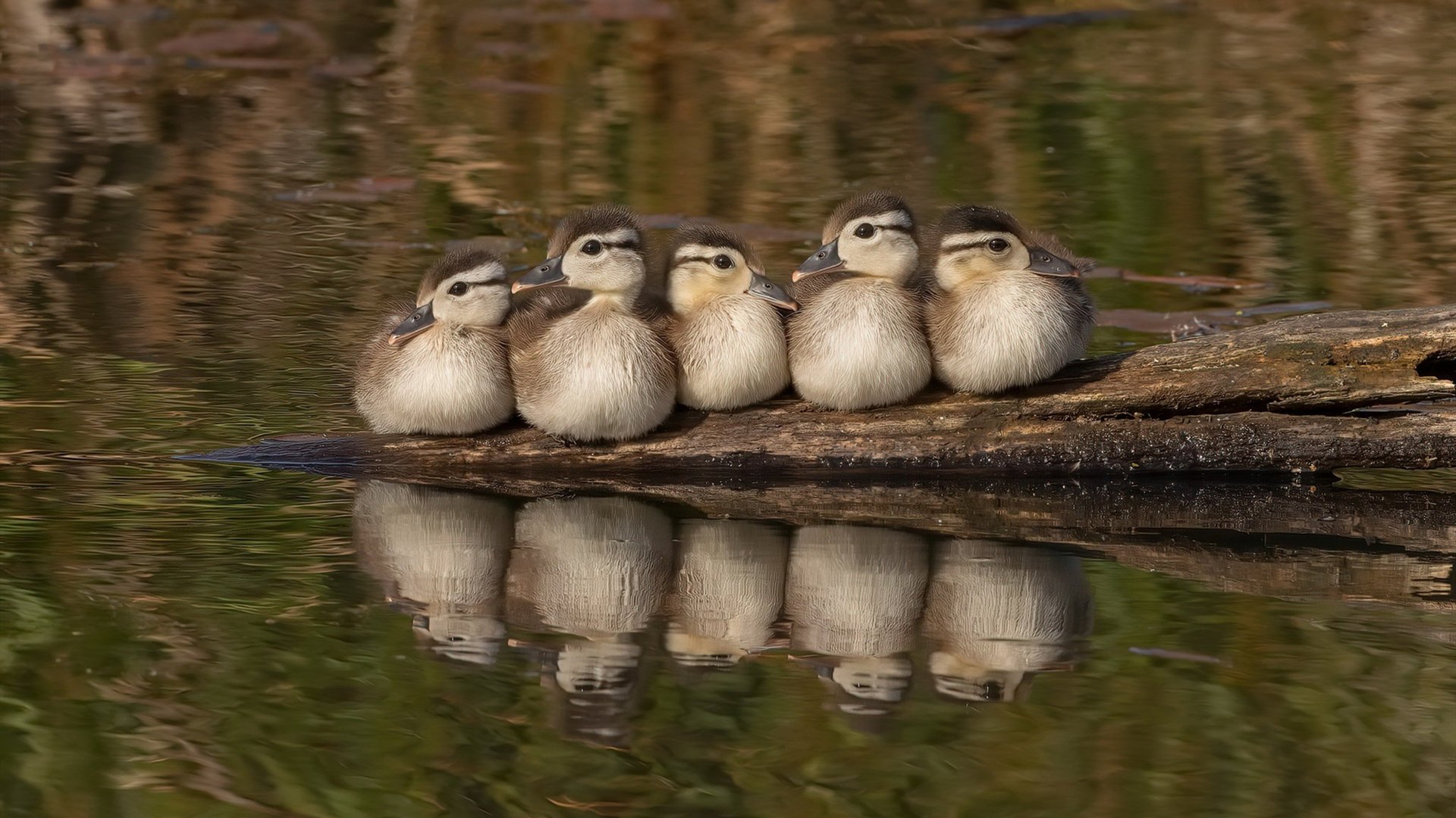 世界杯激烈抢分：每一场都令人心跳加速，世界杯激动人心时刻